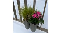 Array-Planter f&uuml;r dekorative Bepflanzung